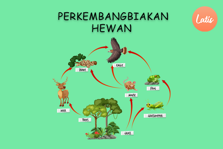 Sistem Perkembangbiakkan Hewan| IPA Kelas 9 SMP - Latiseducation